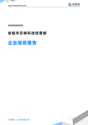 安陆市芯硕科技经营部企业信息报告-天眼查