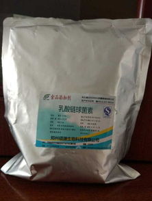 河南省食品商机