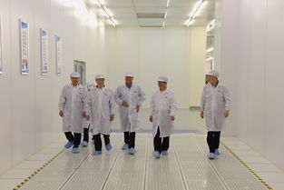 陈清泰调研长江存储与武汉新芯，共话中国芯片产业发展